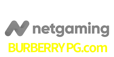 NetGaming